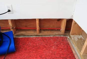 Basement Flood in Conway, Florida