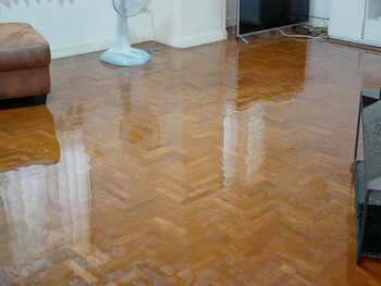 House Flooding Restoration by Rx Pro Restoration