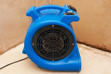Emergency Water Removal in Windermere, Florida by Rx Pro Restoration