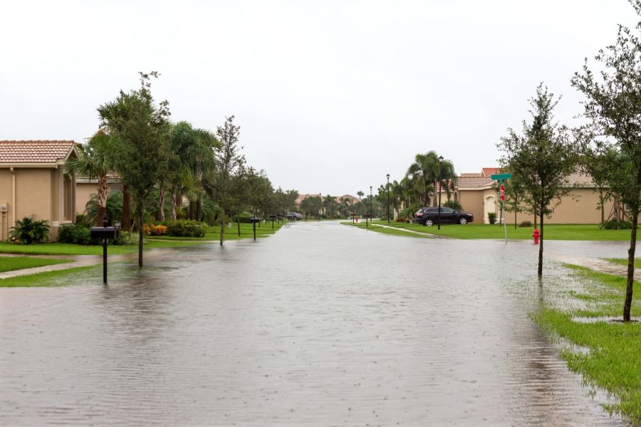 Flood Damage Restoration by Rx Pro Restoration